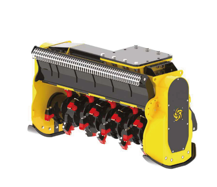 T21 DFX REV